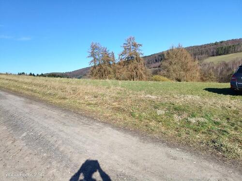 Foto - Grundst&uuml;ck in Delligsen zur Miete