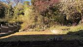 Foto - „Kleingarten“ Freizeitfläche - 200,00&nbsp;EUR Kaltmiete, ca.&nbsp; 0,00&nbsp;m&sup2;