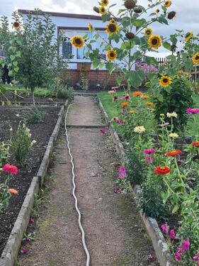 Foto - Grundst&uuml;ck zur Miete in Brand-Erbisdorf