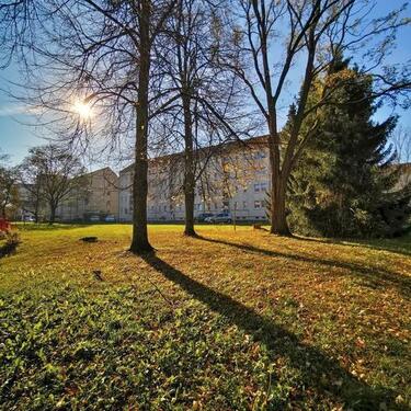 Foto - 2 Zimmer zum Glück - 291,00 EUR Kaltmiete,