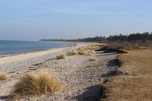 Foto - Osterurlaub auf der Ostseeinsel Fehmarn Bauernhof