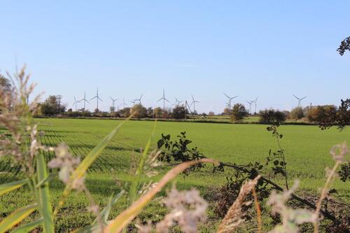 Foto - andere zur Miete in Fehmarn
