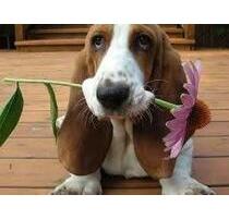 Attraktive kleine 3-Zi.-Wohnung in Heiningen. Privatverkauf