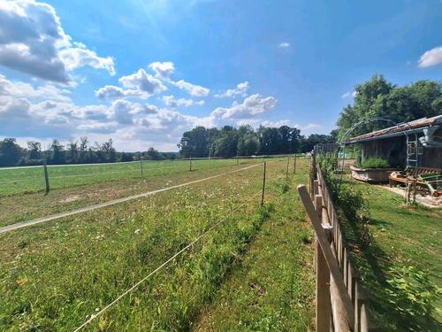 Foto - Einfamilienhaus in Fridolfing zum Kaufen