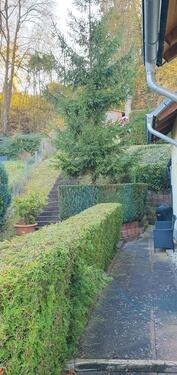 Foto - Einfamilienhaus in Weilerswist