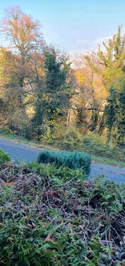 Foto - Einfamilienhaus in Weilerswist zur Miete