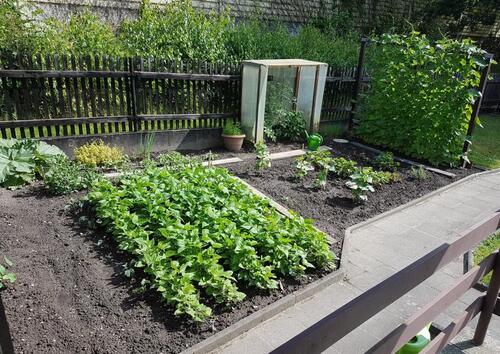 Foto - Grundst&uuml;ck in Chemnitz zur Miete