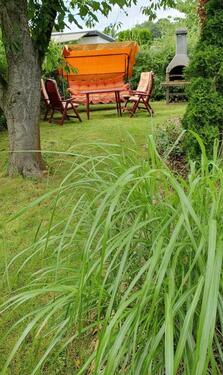 Foto - Grundst&uuml;ck zur Miete in Leipzig