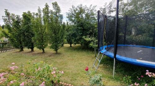 Foto - Grundst&uuml;ck in Leipzig