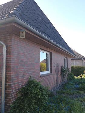 Foto - Einfamilienhaus in Jade zum Kaufen
