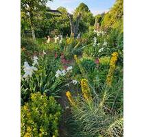 Pachtgarten Reform Lilienweg - 2.300,00 EUR Kaltmiete, ca.  0,00 m² in Magdeburg (PLZ: 39120) Hopfengarten