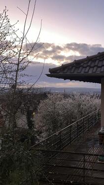 Foto - - ANFRAGESTOPP - schöne 3 ZKB mit Garten