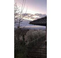 - ANFRAGESTOPP - schöne 3 ZKB mit Garten - Göttingen Oststadt