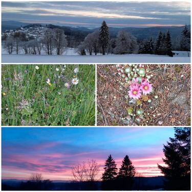 Foto - 5 Zimmer Bauernhaus, Landhaus zum Kaufen in Mauth