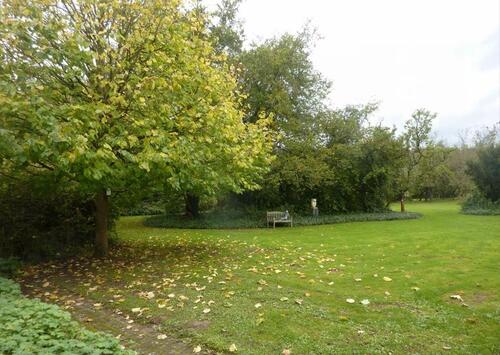 Foto - 3 Zimmer Etagenwohnung zur Miete in Trier