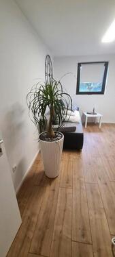 Foto - Wander -& Monteurzimmer - 40,00&nbsp;EUR Kaltmiete, ca.&nbsp; 17,00&nbsp;m&sup2;