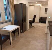 möblierte 1-Zimmer Wohnung-optimal für Referendar*innen - Aschaffenburg Österreicher Kolonie