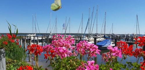 Foto - andere zur Miete in Grabowhöfe