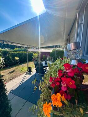 Foto - Tiny House Mobilheim Campingplatz