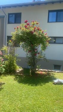 Foto - 