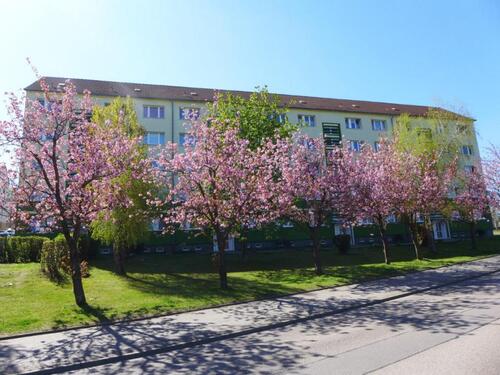 Foto - Dachgeschosswohnung zum Wohlfühlen
