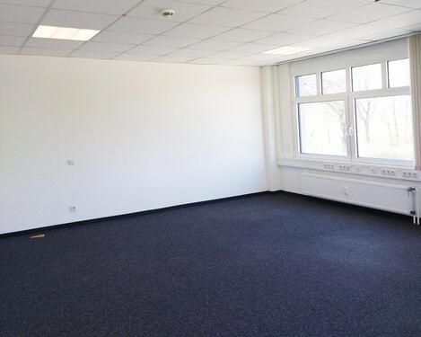 Foto - andere in Würselen