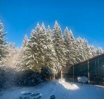 Ferienapartment - 88.000,00&nbsp;EUR Kaufpreis, ca.&nbsp; 52,00&nbsp;m&sup2; in Sankt Englmar (PLZ: 94379)