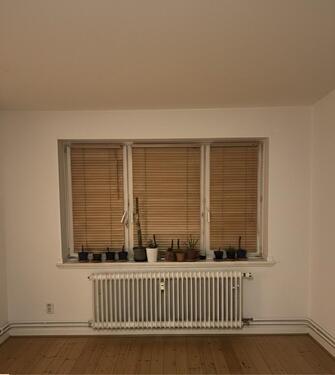 Foto - NUR IM FEBRUAR! Wohnung Untermiete WG