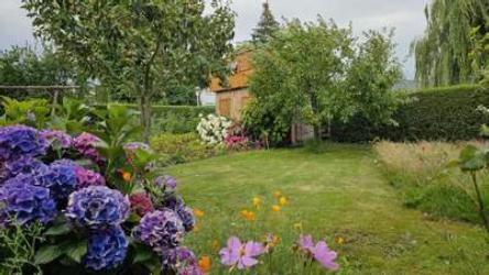 Foto - Reihenhaus in Sulingen zur Miete