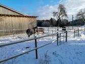 Foto - 6 Zimmer Einfamilienhaus in Breitenbrunn