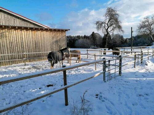 Foto - 6 Zimmer Einfamilienhaus in Breitenbrunn