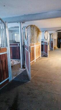 Foto - Einfamilienhaus in Breitenbrunn zum Kaufen