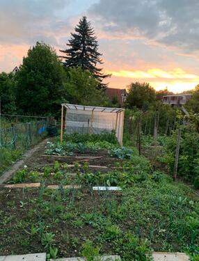 Foto - Gartengrundstück Gemüsegarten mit Wasseranschluss