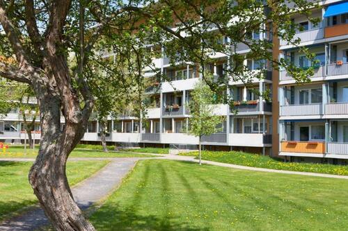 Foto - 2 Zimmer Etagenwohnung zur Miete in Leinefelde-Worbis