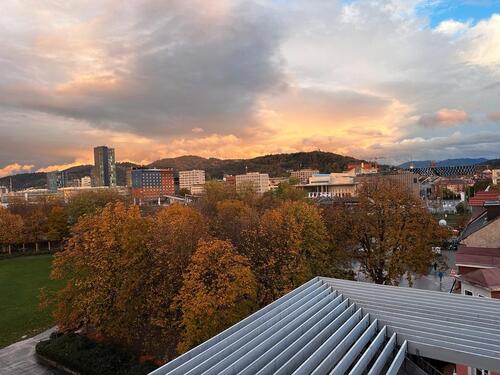 Foto - andere zur Miete in Freiburg im Breisgau