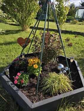 Foto - Grundst&uuml;ck zur Miete in Heidenau