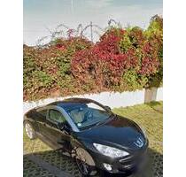 Stellplatz Weyerstrasserweg - 50,00&nbsp;EUR Miete, in Köln (PLZ: 50969) Rodenkirchen