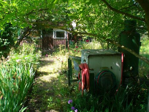 Foto - Garten in Stendal zu verpachten
