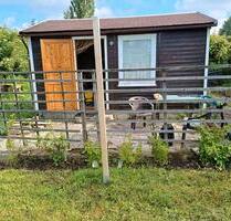 Pächter für Kleingarten in Chemnitz-Schönau