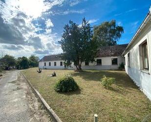 Viel ist möglich !!!! Ivenack - 530 m2 & 3800 m2 Grundstück - Stavenhagen
