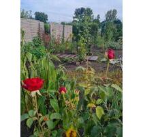 Kleingarten - 2.500,00 EUR Kaltmiete, ca.  0,00 m² in Haldensleben (PLZ: 39340)