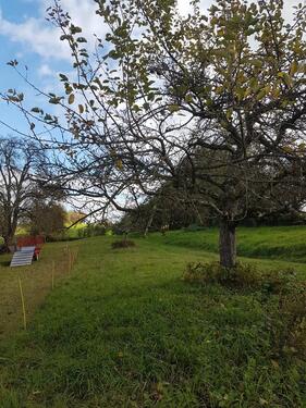 Foto - Grundstück in Kraichtal