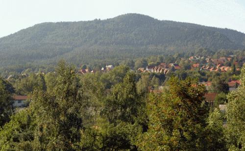 Foto - Buchbergstraße 10 1.Etage - 260,00 EUR Kaltmiete, ca.  39,43 m²