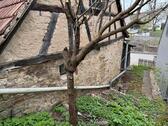 Foto - Einfamilienhaus in Haßfurt zum Kaufen