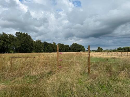Foto - Grundstück in Ahlerstedt