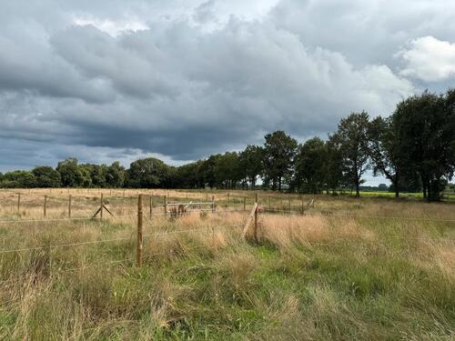 Foto - Grundstück in Ahlerstedt zur Miete