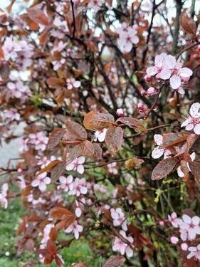 Foto - Wohnen auf Zeit - 1.240,00&nbsp;EUR Kaltmiete, ca.&nbsp; 75,00&nbsp;m&sup2;