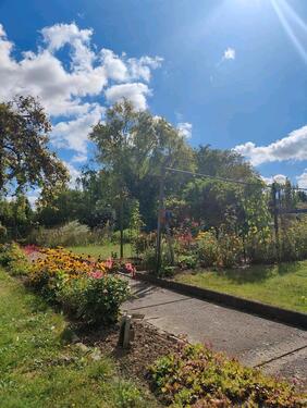 Foto - Grundstück in Wolfenbüttel
