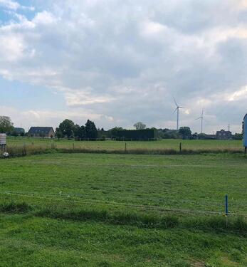 Foto - Garten Gemüsegarten -Urlaub im Grünen-