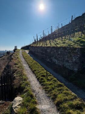 Foto - Garten - Ruheoase mit herrlicher Aussicht